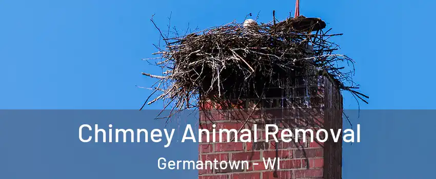  Chimney Animal Removal Germantown - WI