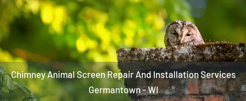  Chimney Animal Screen Repair And Installation Services Germantown - WI