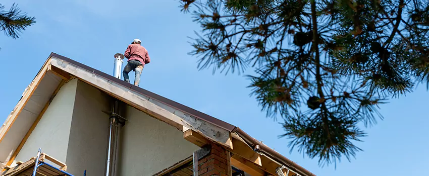 Birds Removal Contractors from Chimney in Germantown, WI
