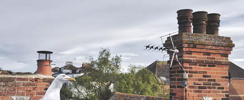 Chimney Cleaning And Restoration in Germantown, Wisconsin